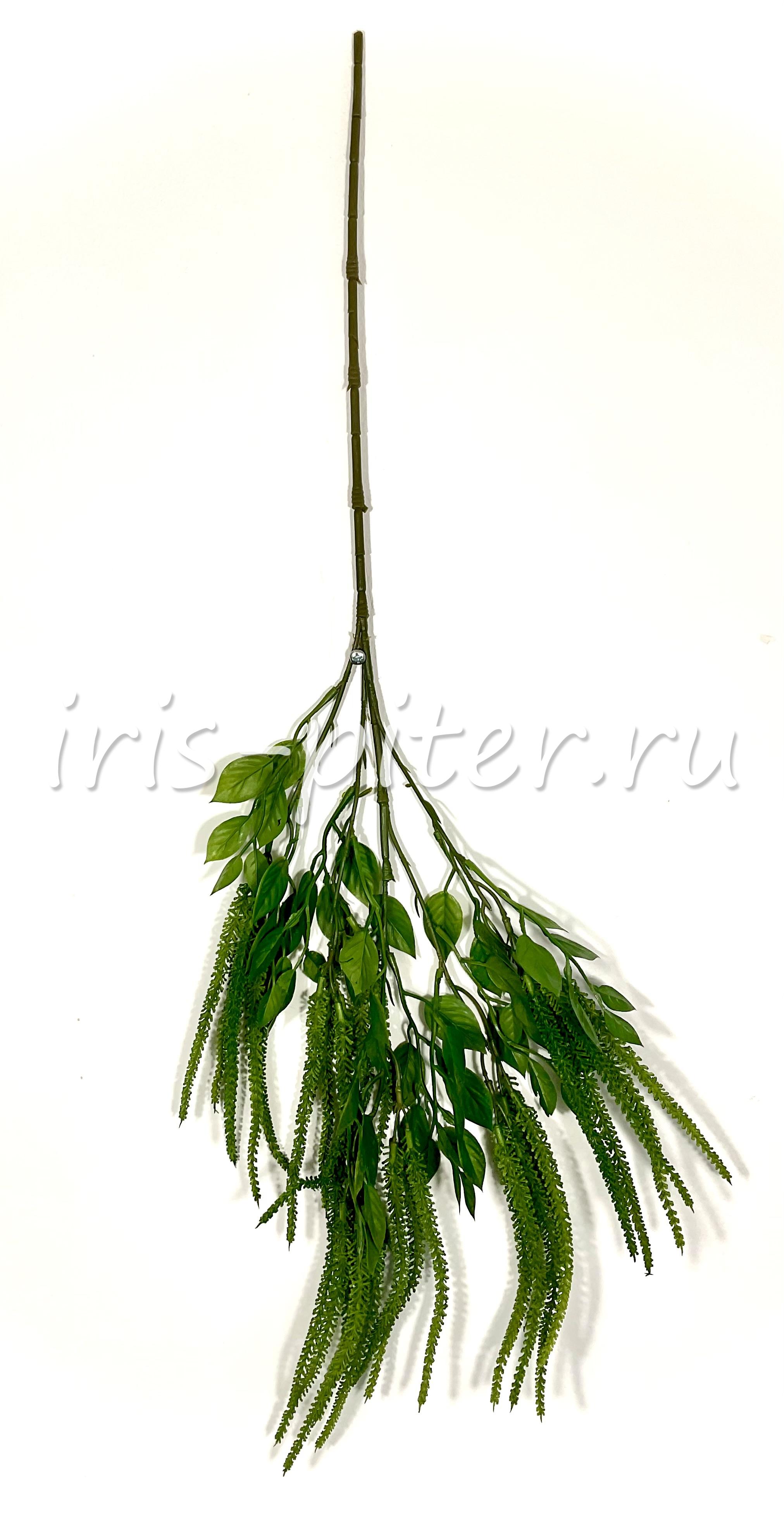 ветка амарант зеленая 