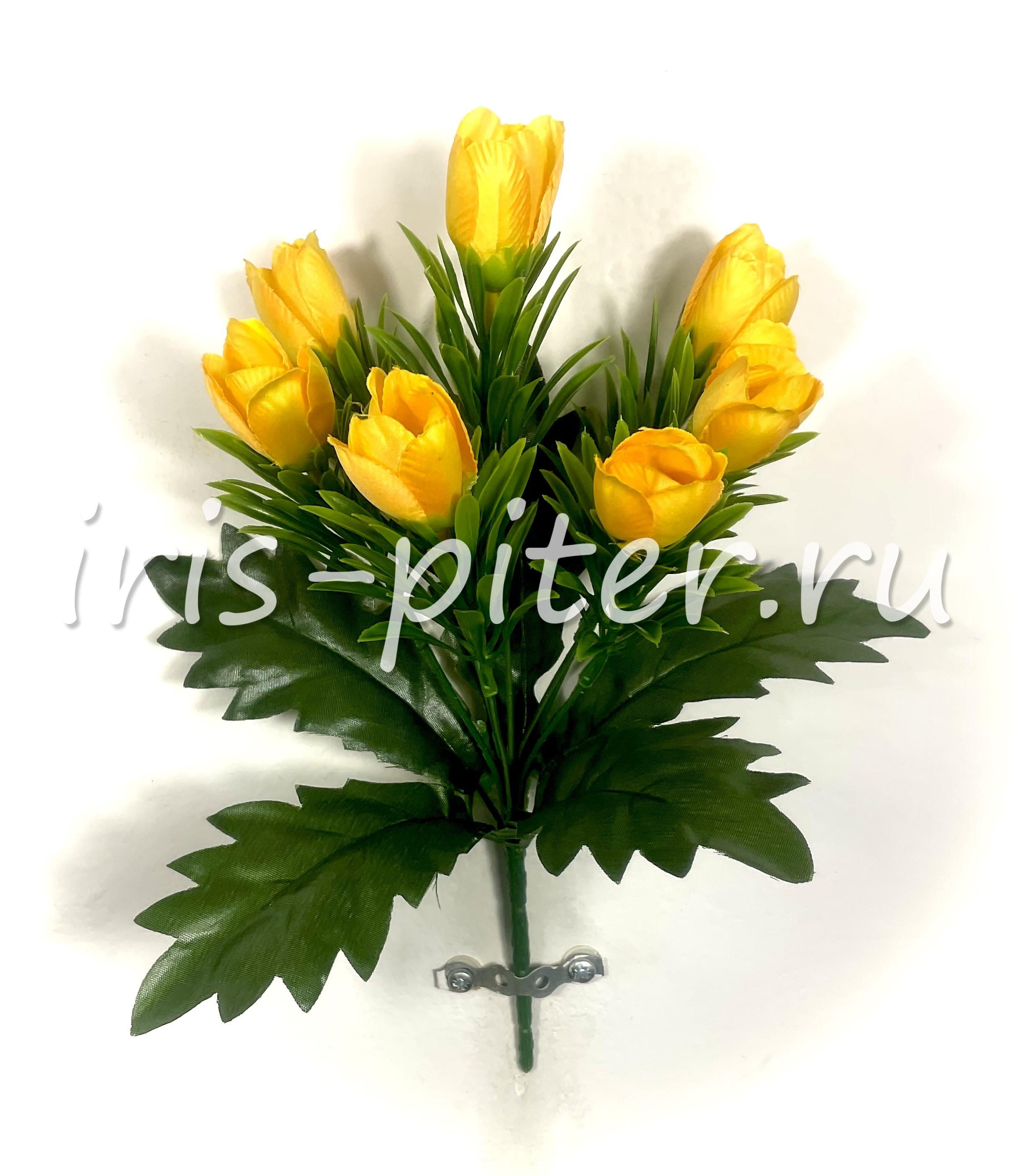 Букет крокус 7г в розетке 