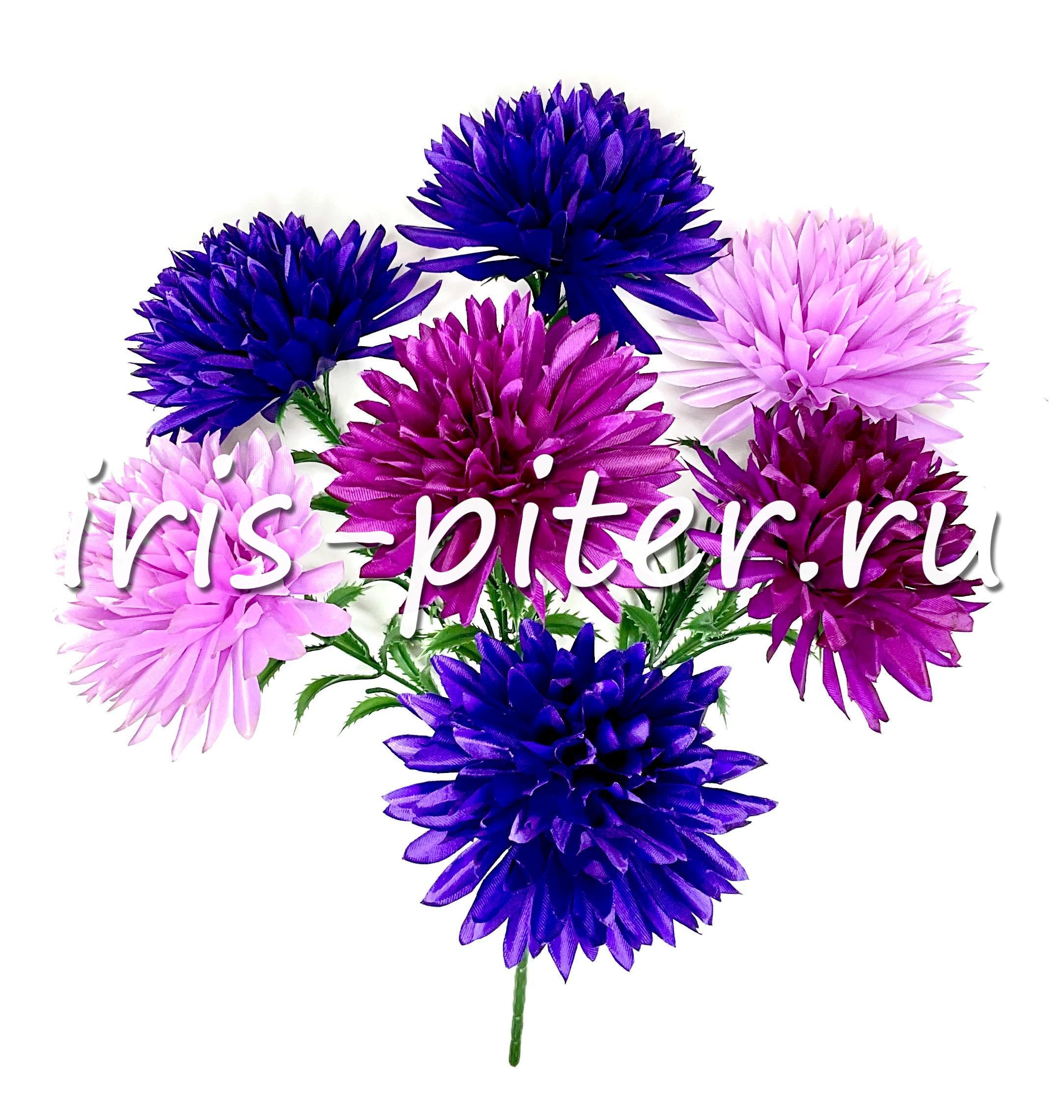 Букет хризантема 7г трехцветная