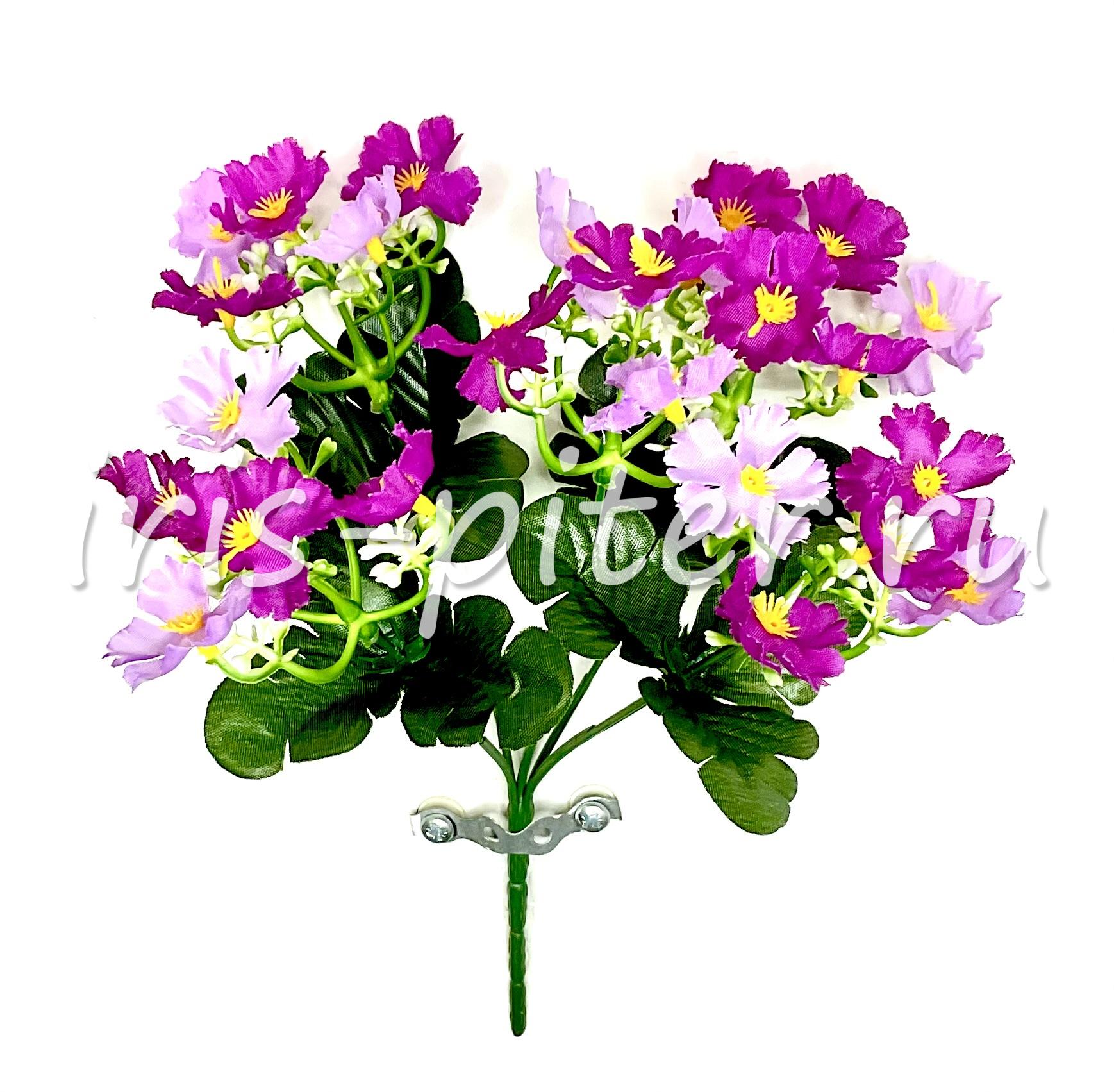 Букет флокс друммонда 25г