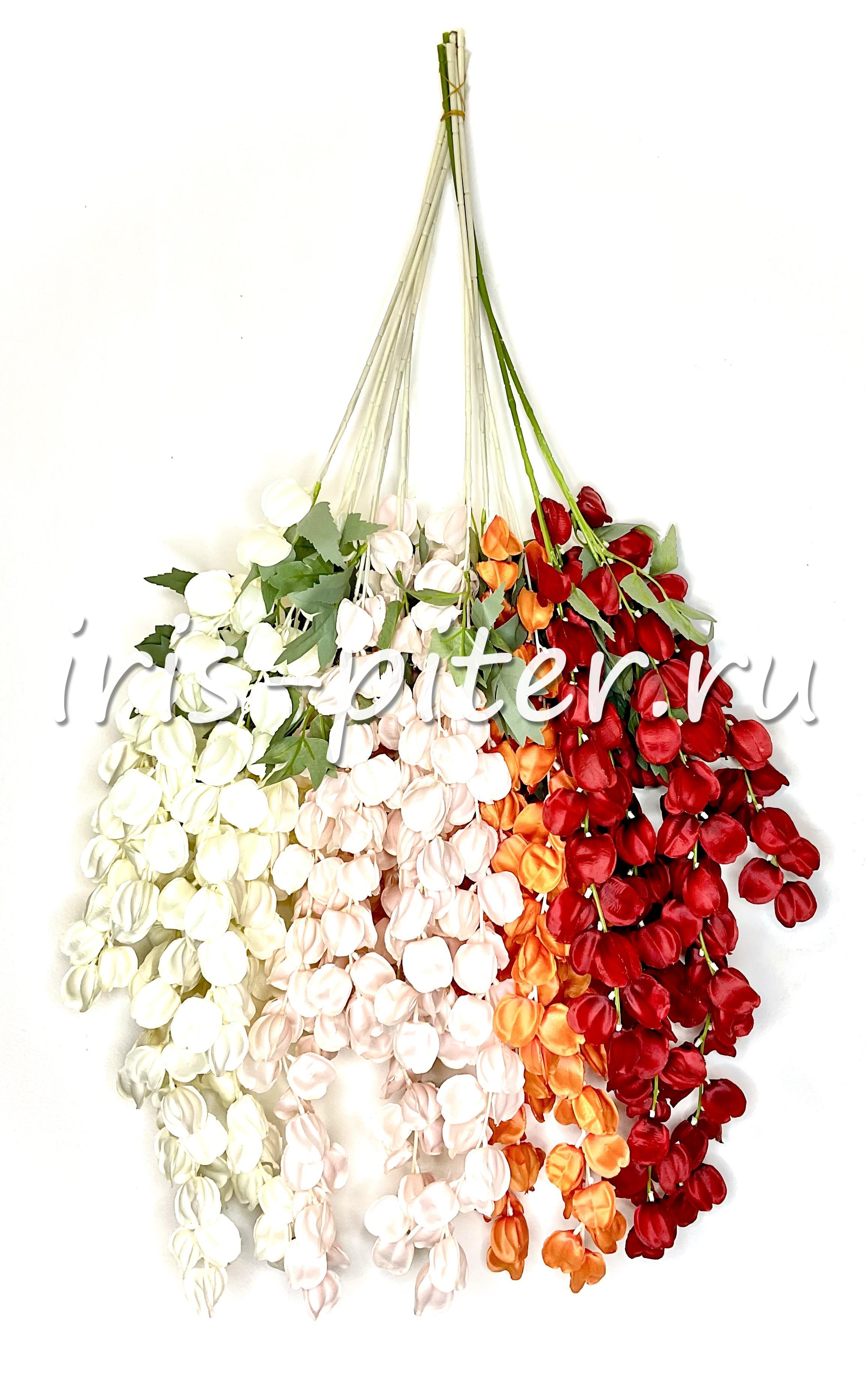 ветка физалис 3вет