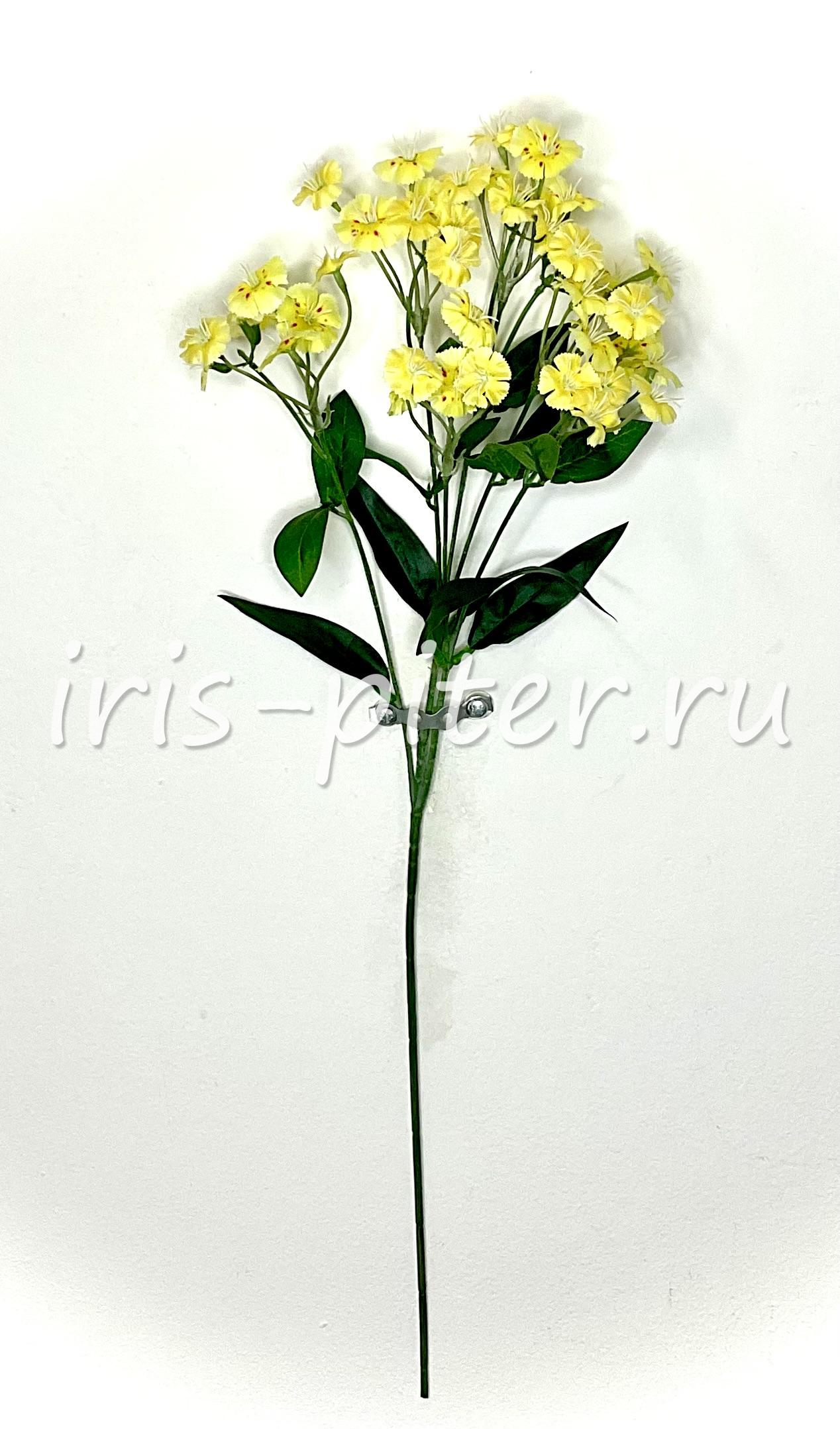 Ветка гвоздика турецкая 6вет