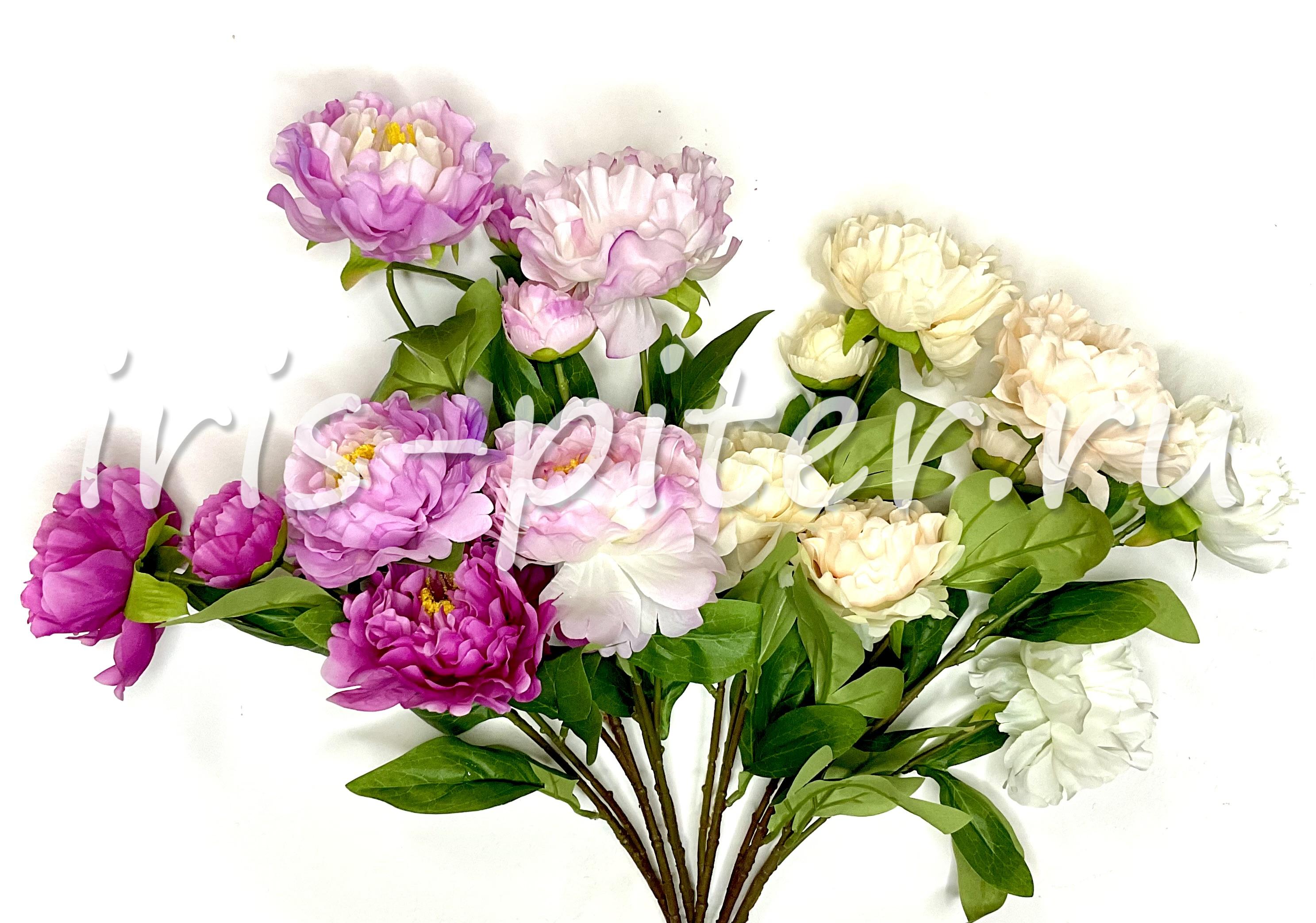 Ветка пион 2г 1бут