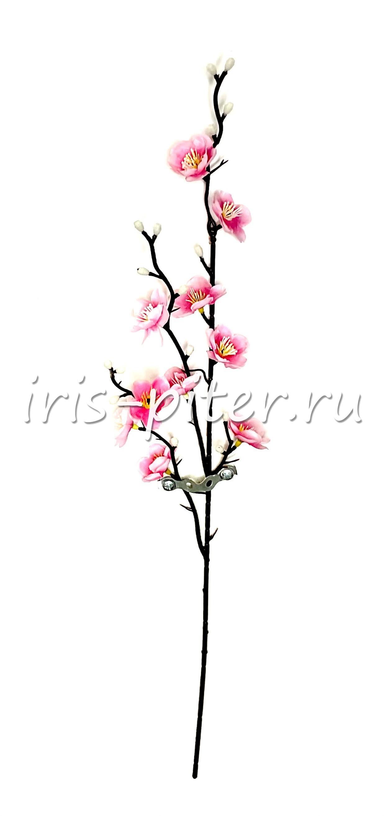 Ветка сакура 