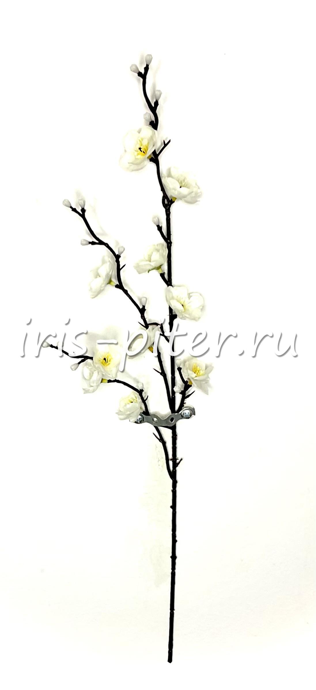 Ветка сакура 