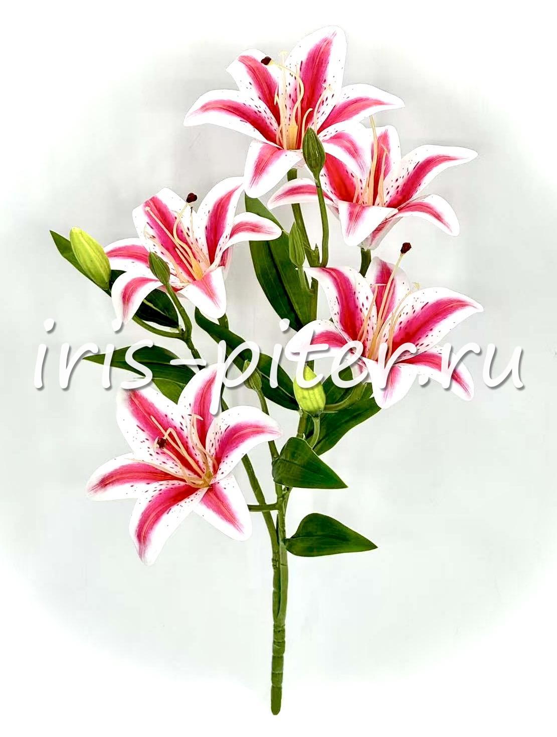 Букет лилия 5г 6бут