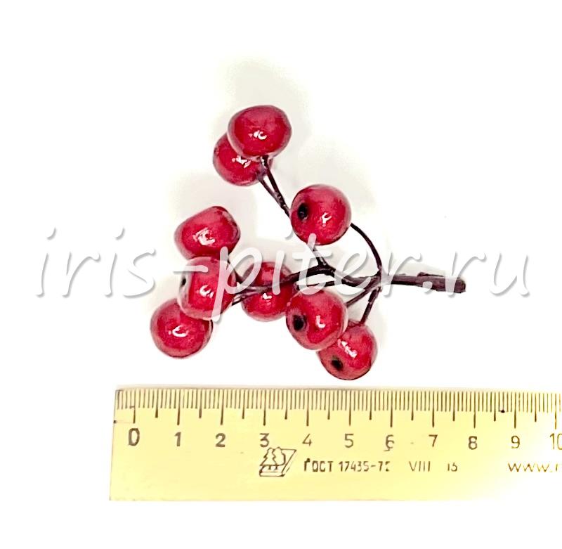 ветка ягоды