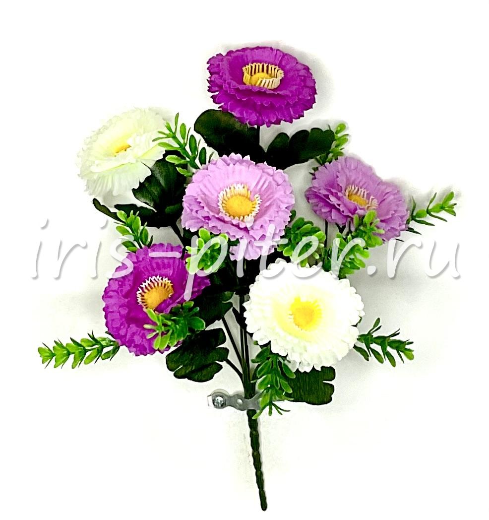 Букет маргаритка 6г трехцветная 