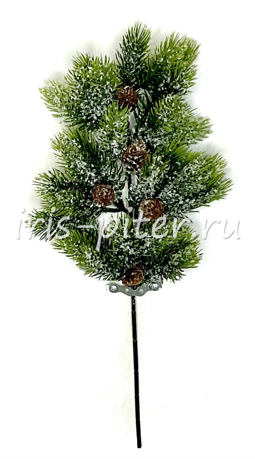 Ветка ель с шишками заснеженная 