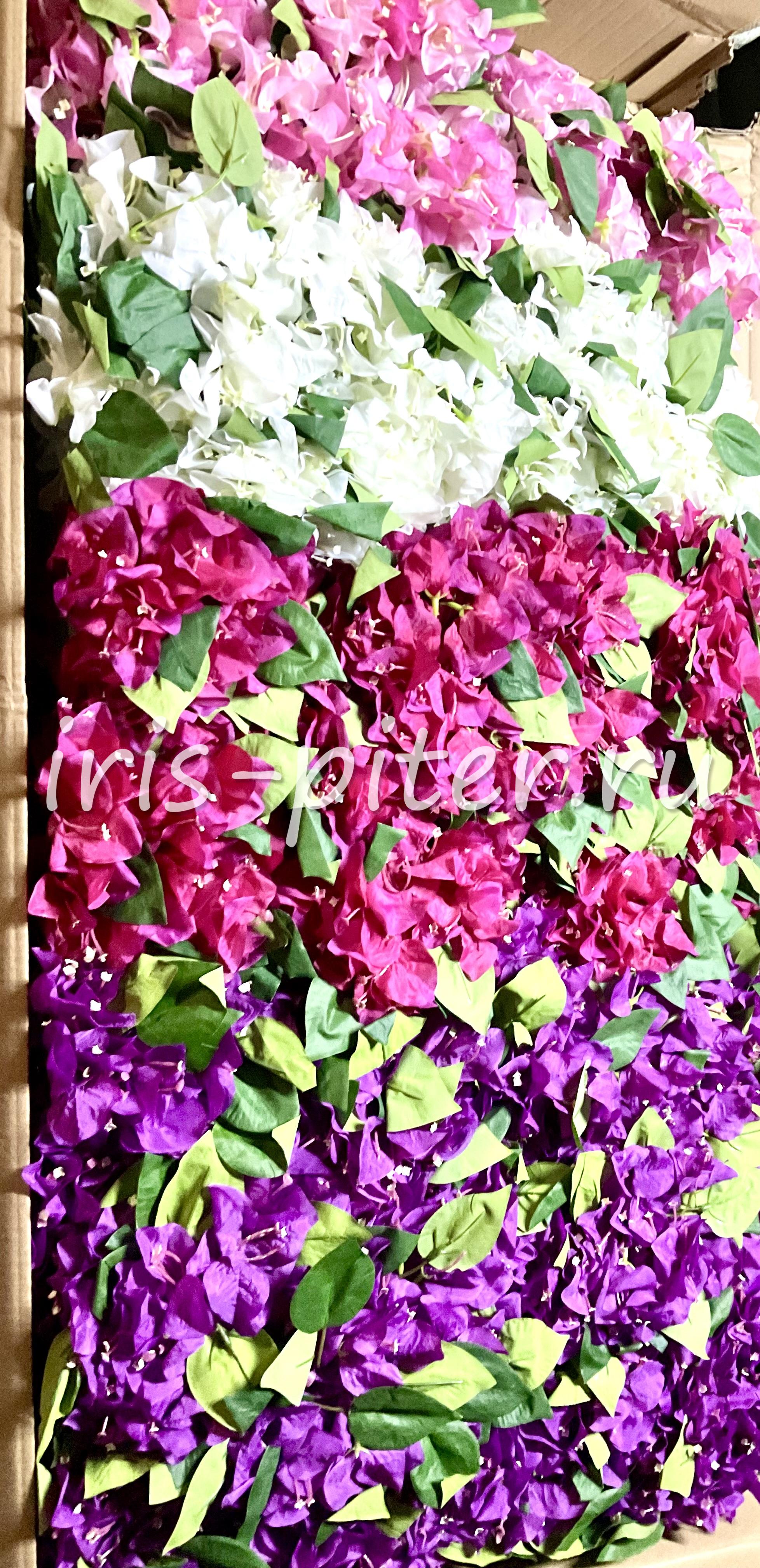 Букет бугенвиллия 7в 45г