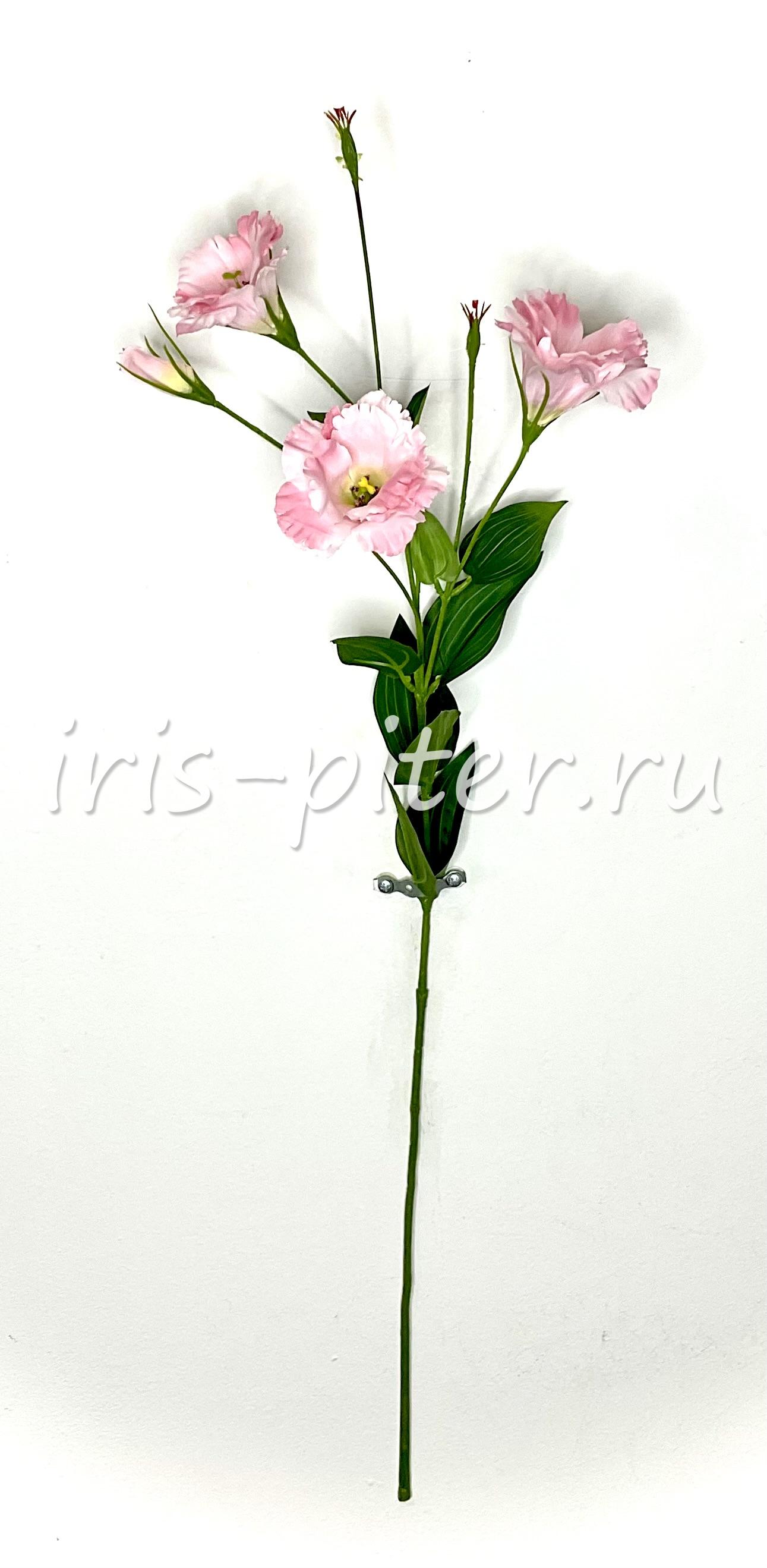 Ветка эустома 3г 1бут