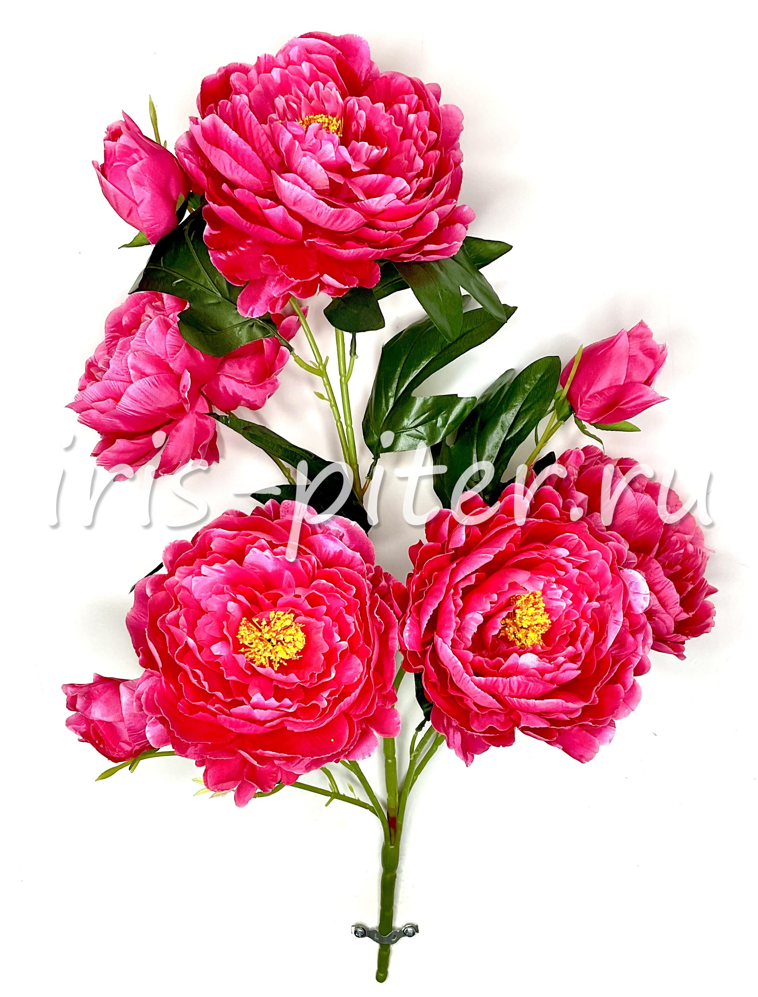 Букет пион 5г 3бут раскрытый 