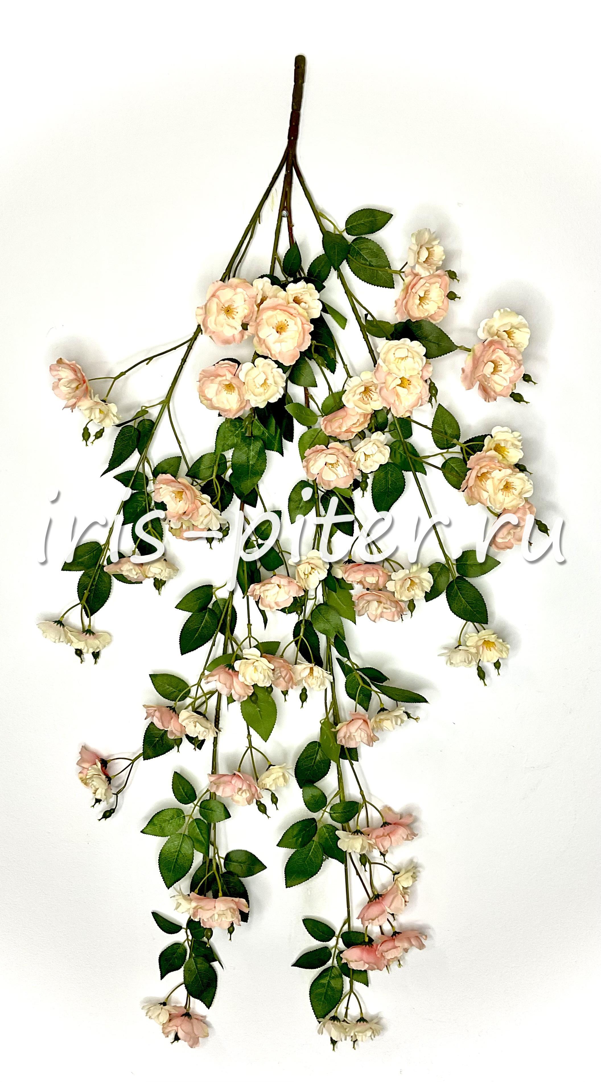 Ветка яблоня 4вет