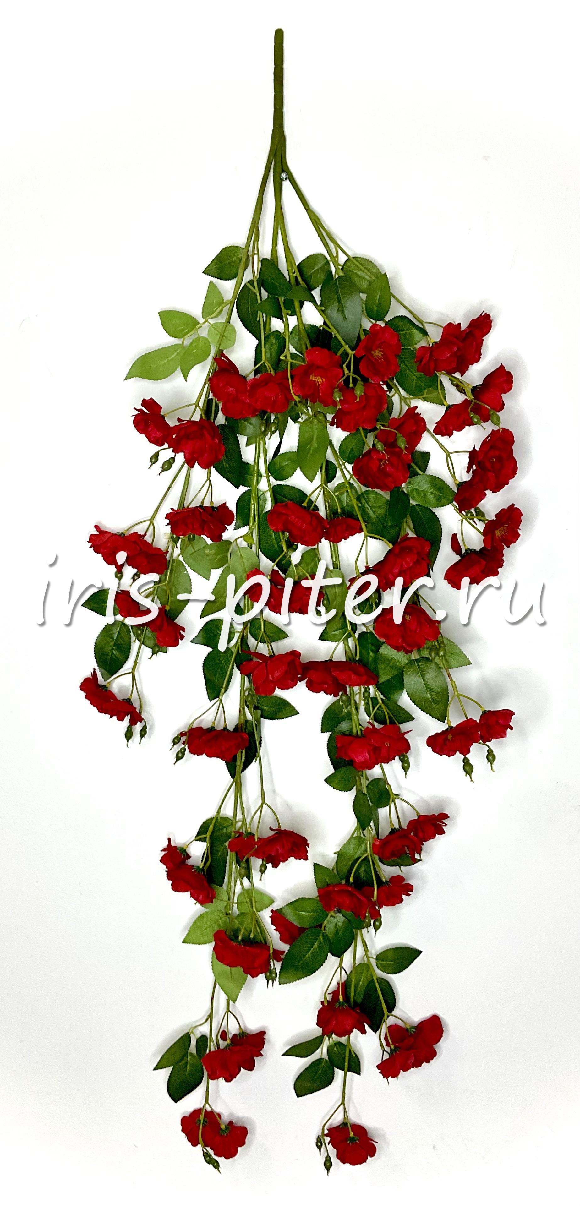 Ветка яблоня 4вет