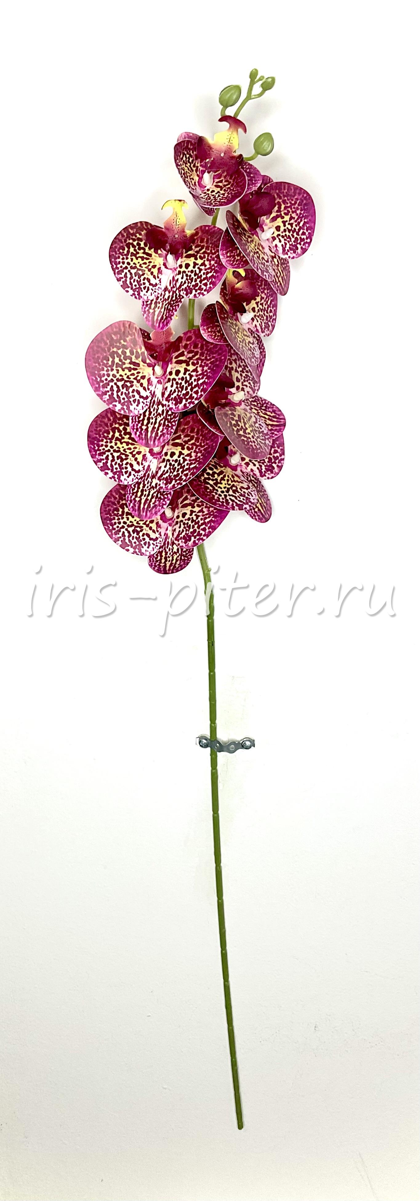 Ветка орхидея 9г