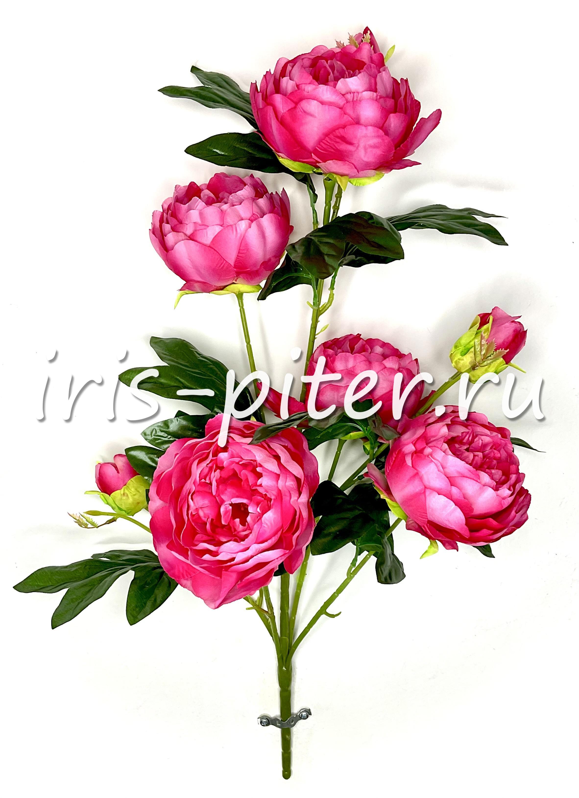 Букет пион 5г 3бут полураскрытый