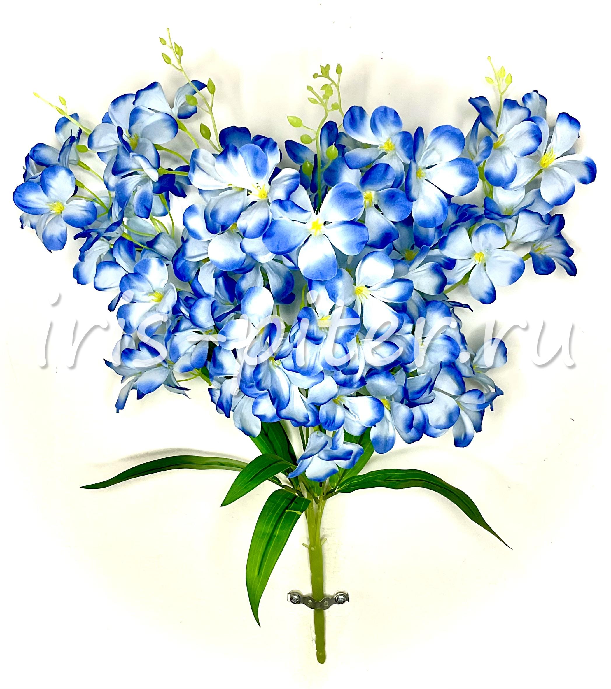 Букет гиацинт 5вет 