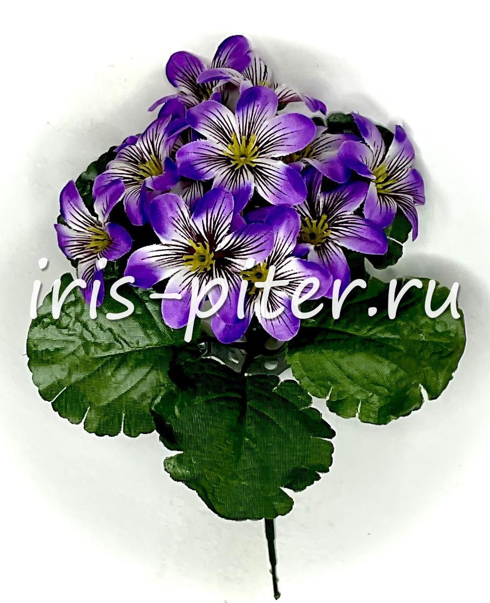 Букет примула 12г 