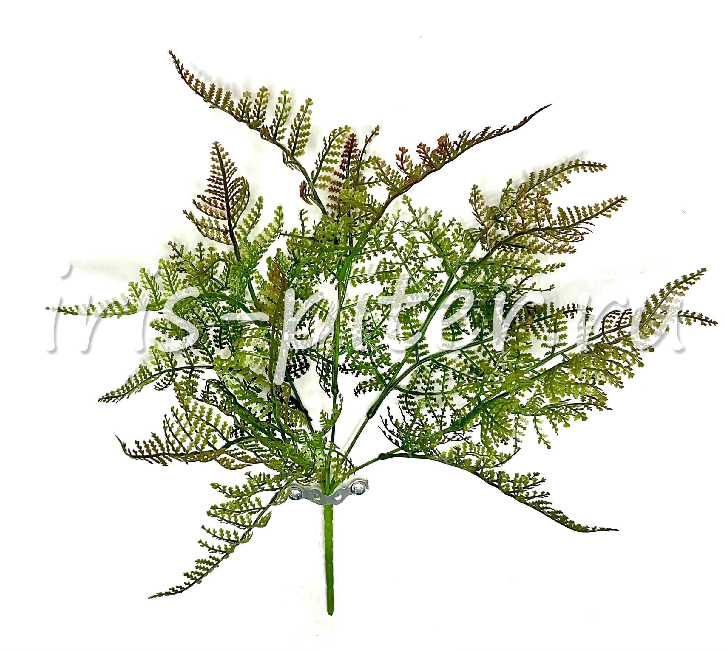 Папоротник 5вет латекс