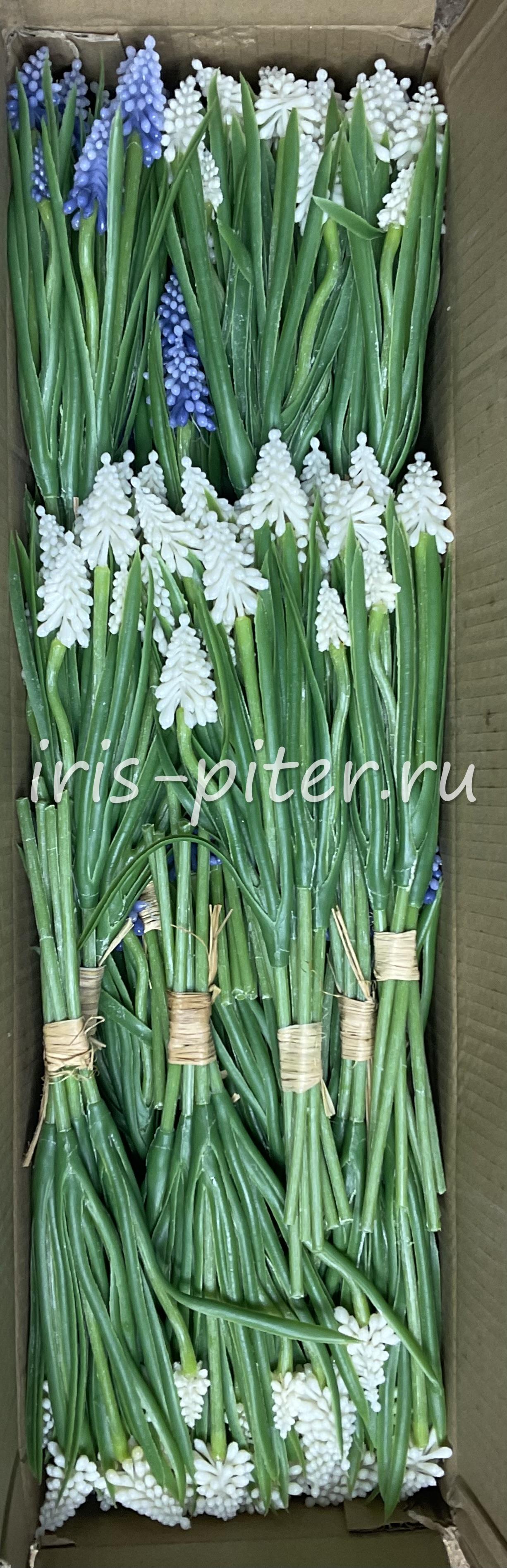 Мускари латекс