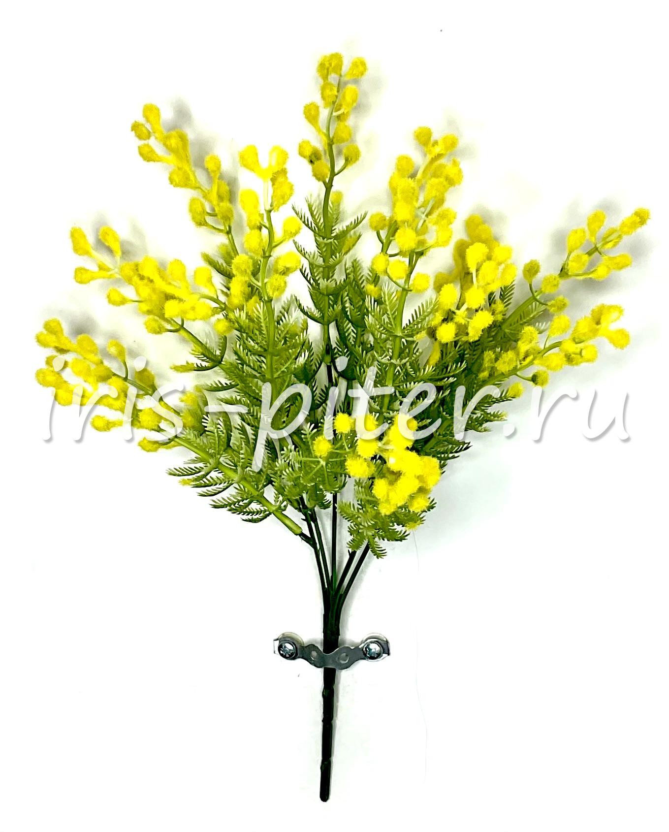 Букет мимоза 5в 13г