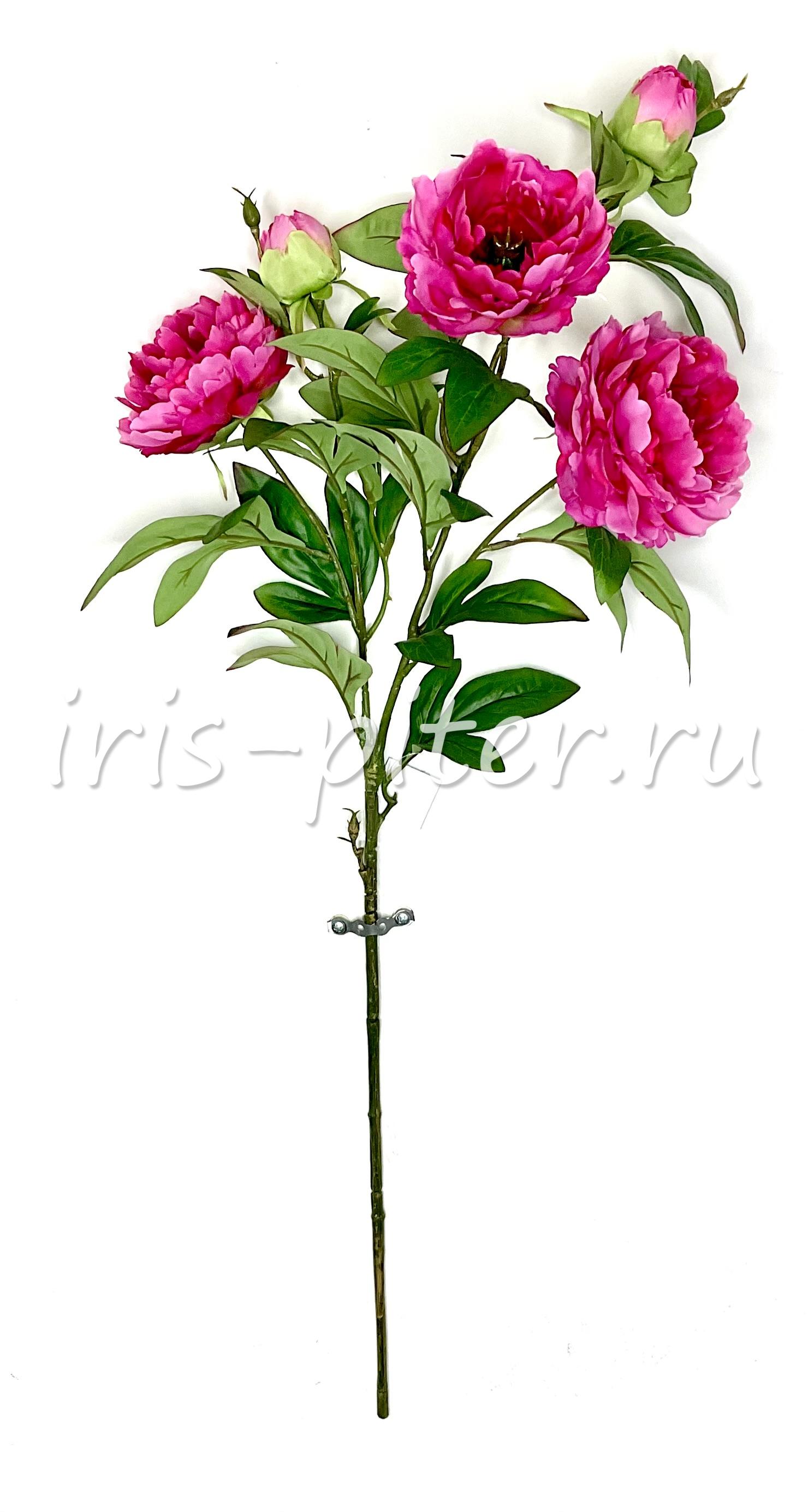 Ветка пион 3г 2бут