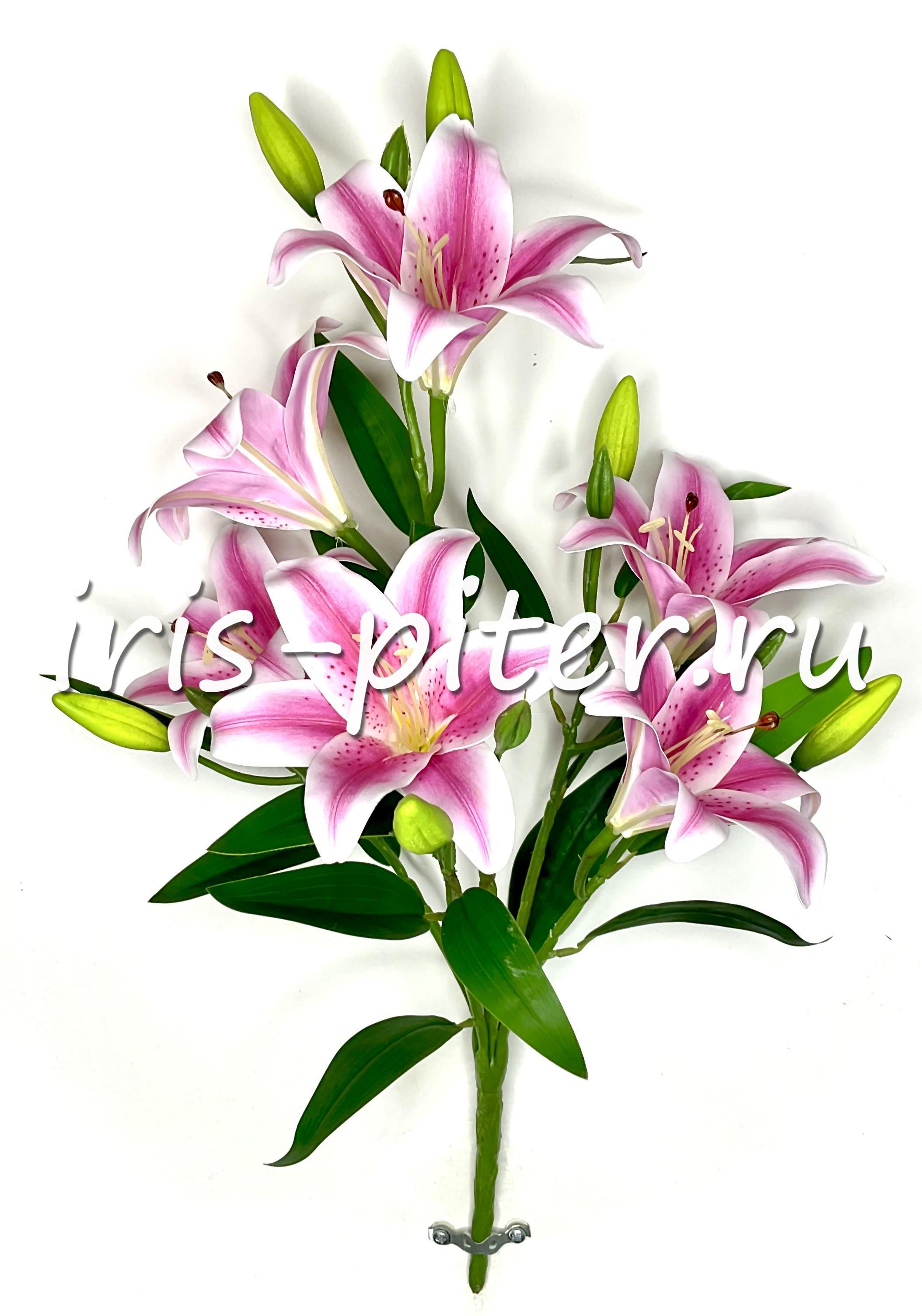 Букет лилия 6г 6бут сборная