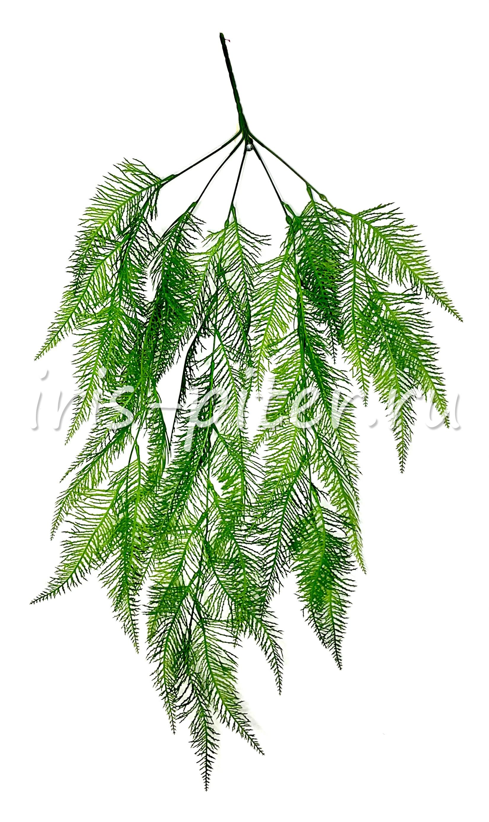 Ветка нефролепис 5вет