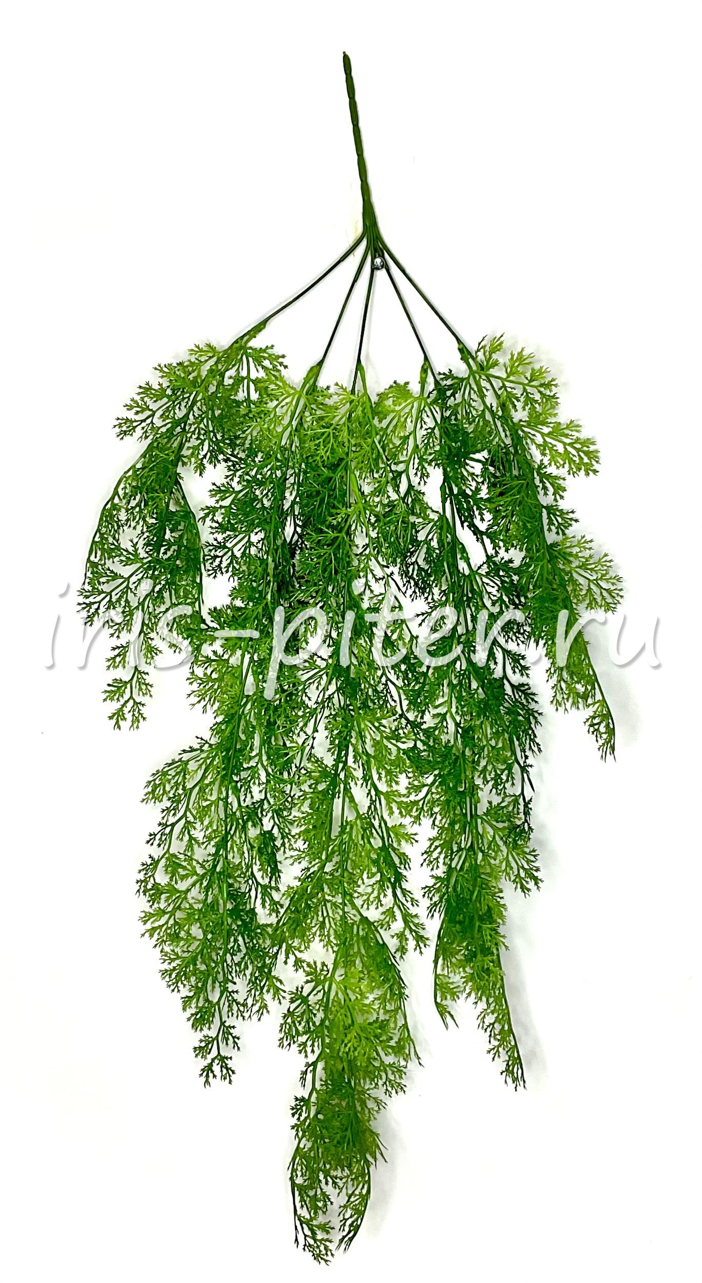 Ветка можжевельник 5вет