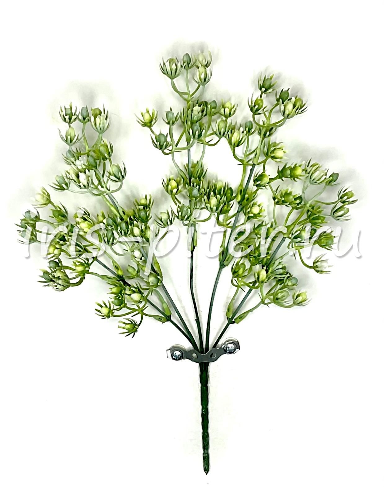 Гиперикум 25вет