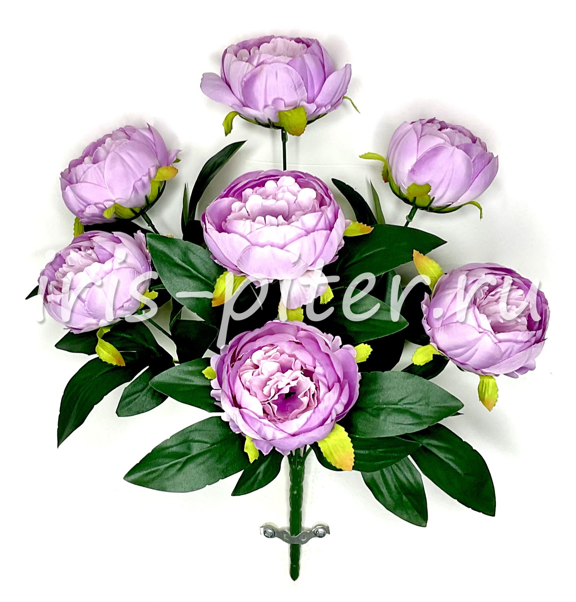 Букет пион 7г полубутон