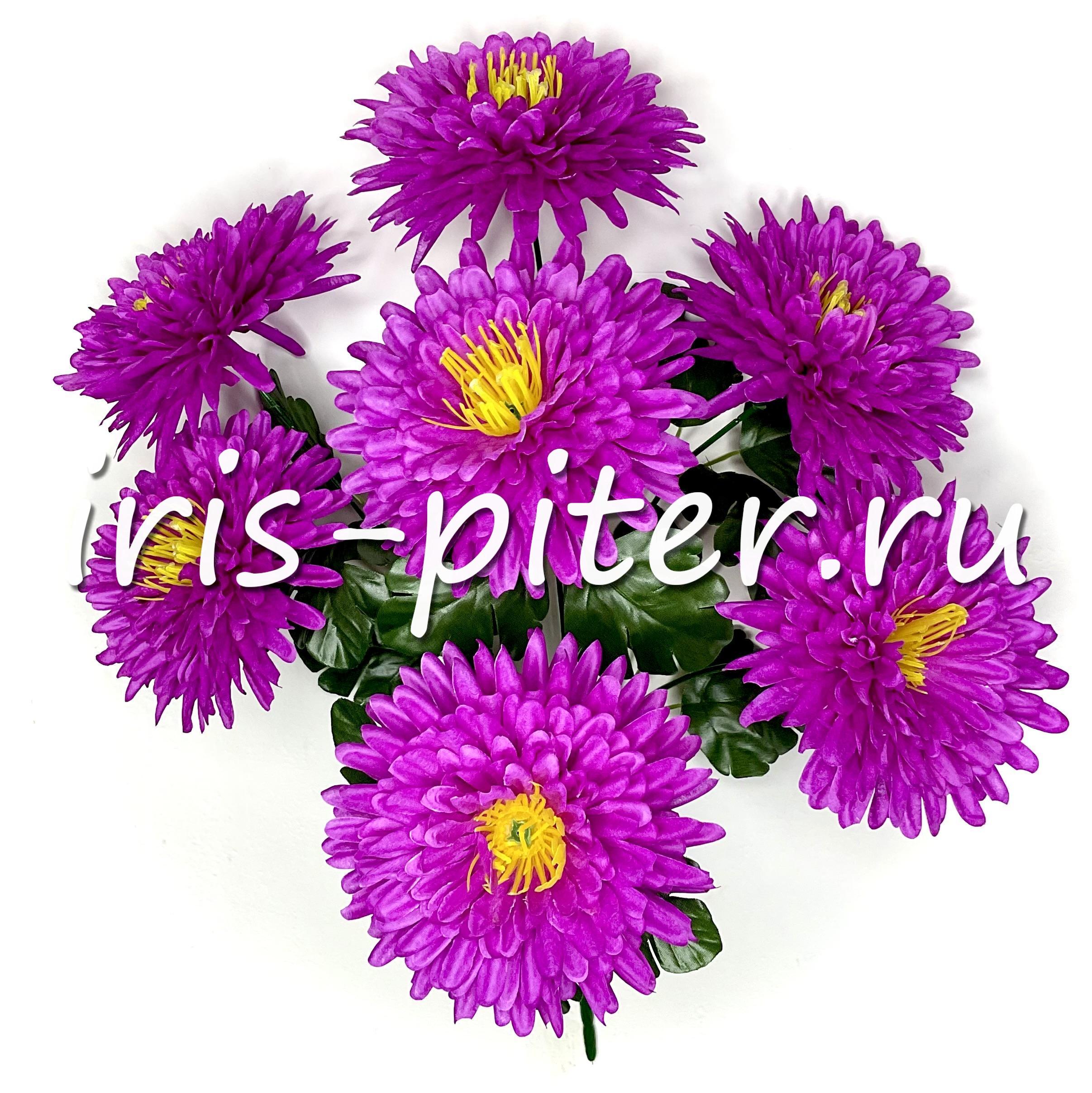 Букет астра 7г