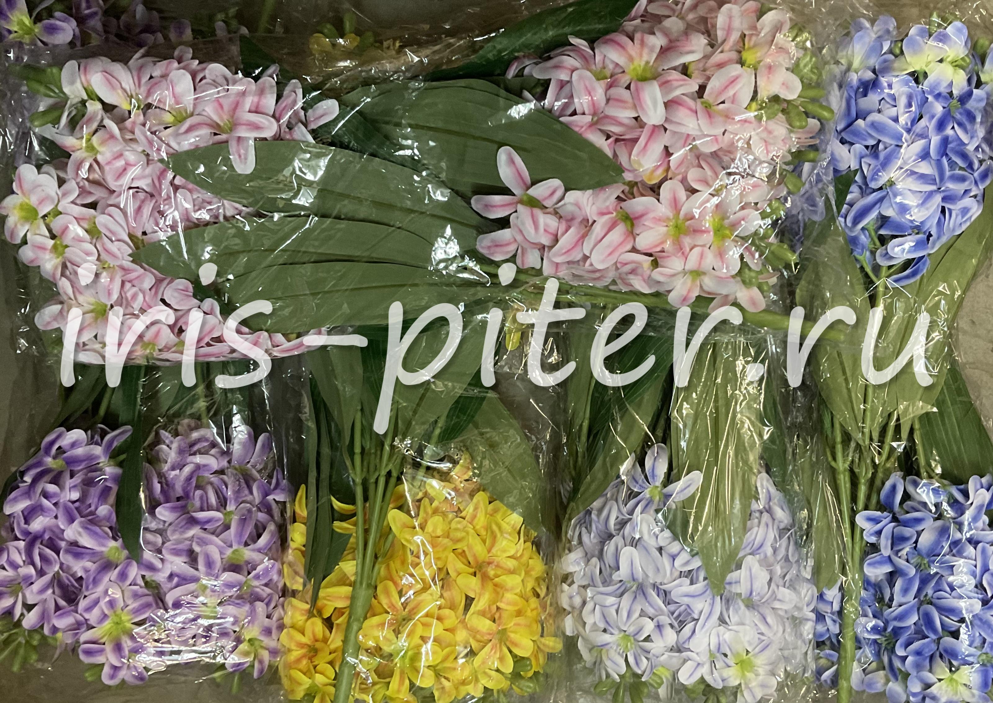 Букет гиацинт 5вет