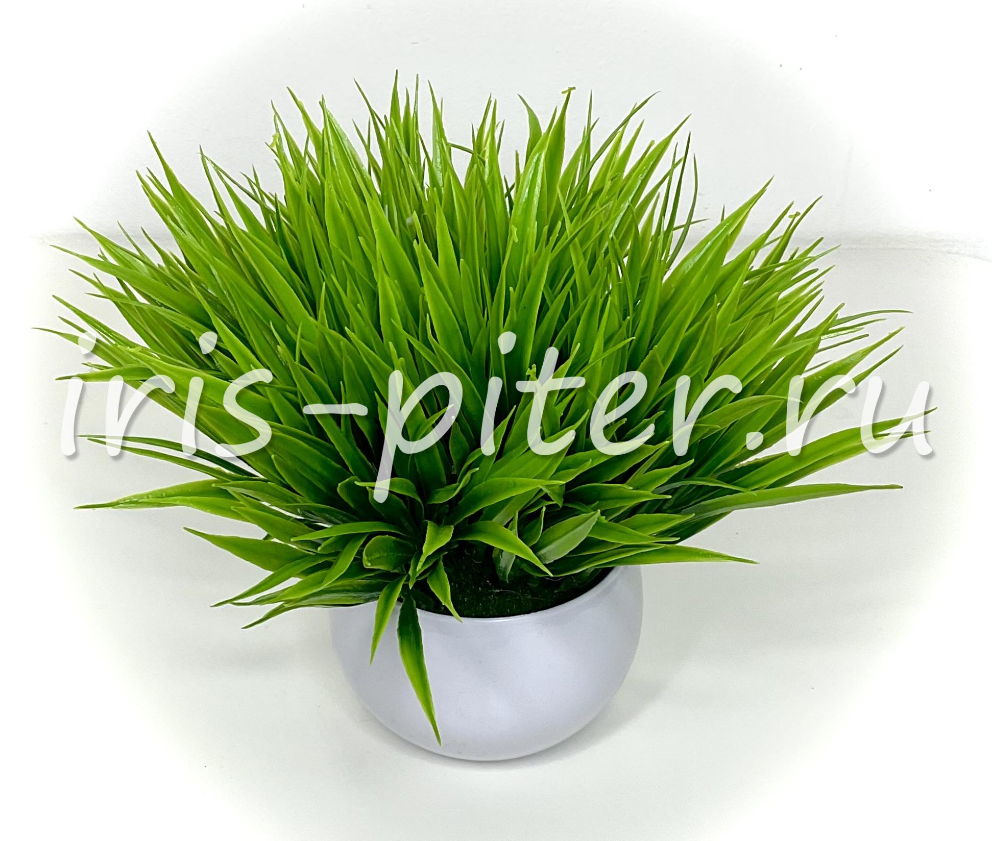 трава осока в круглом кашпо 