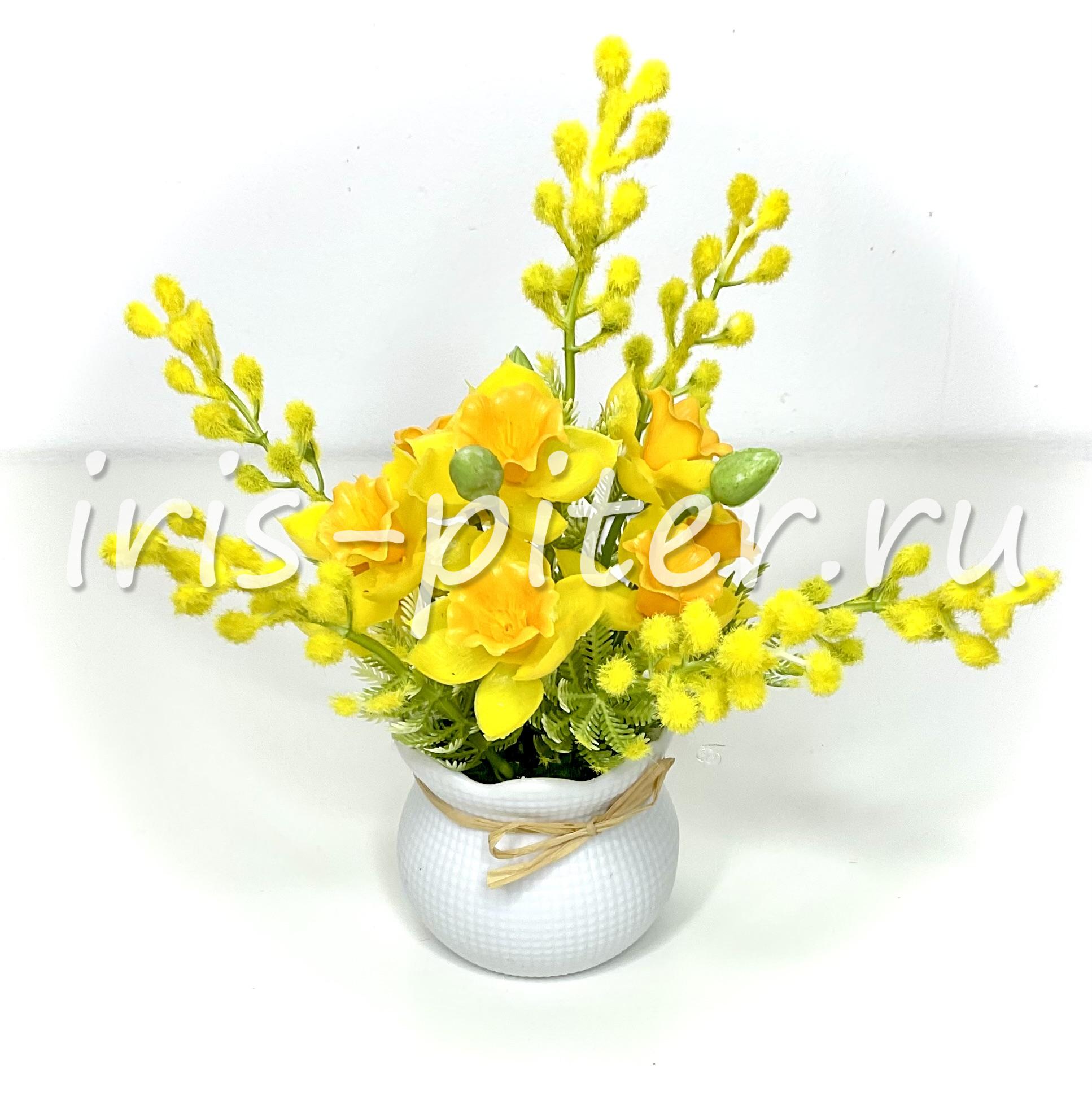 мимоза с нарциссом в горшке с бантиком