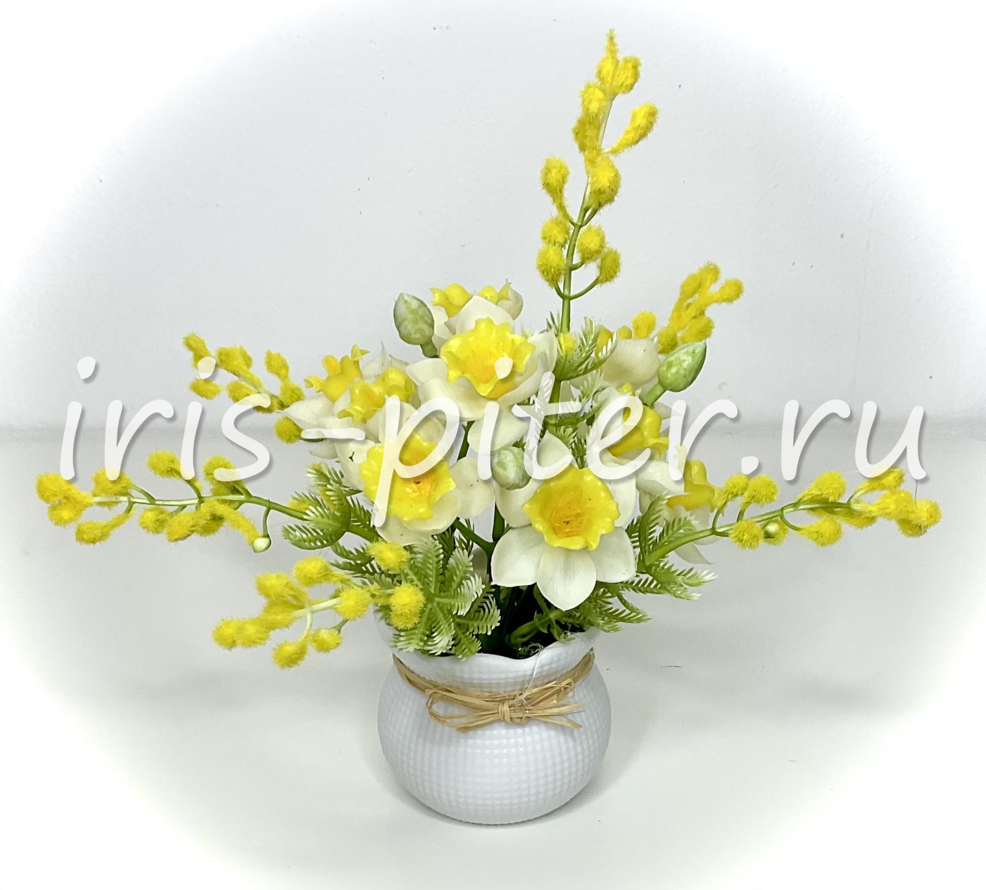 мимоза с нарциссом в горшке с бантиком