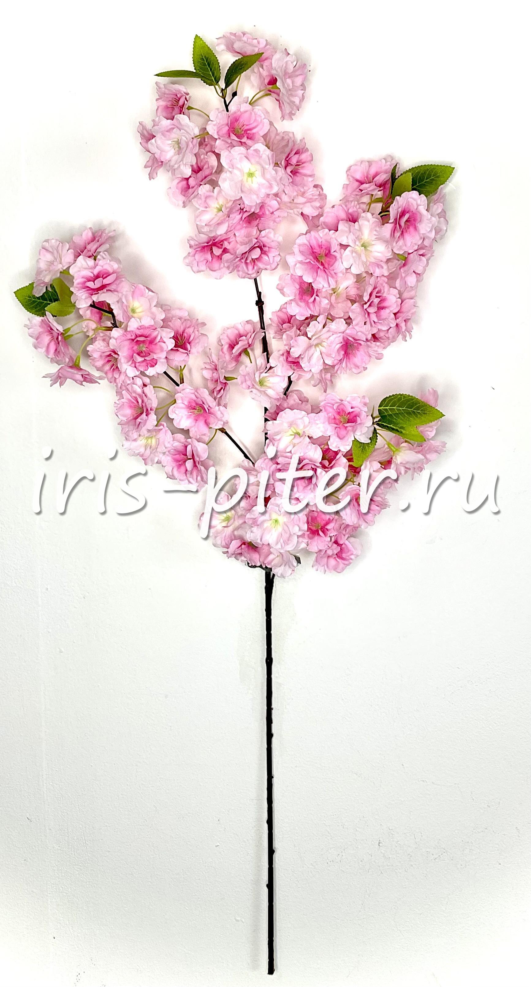 Ветка сакура 4вет