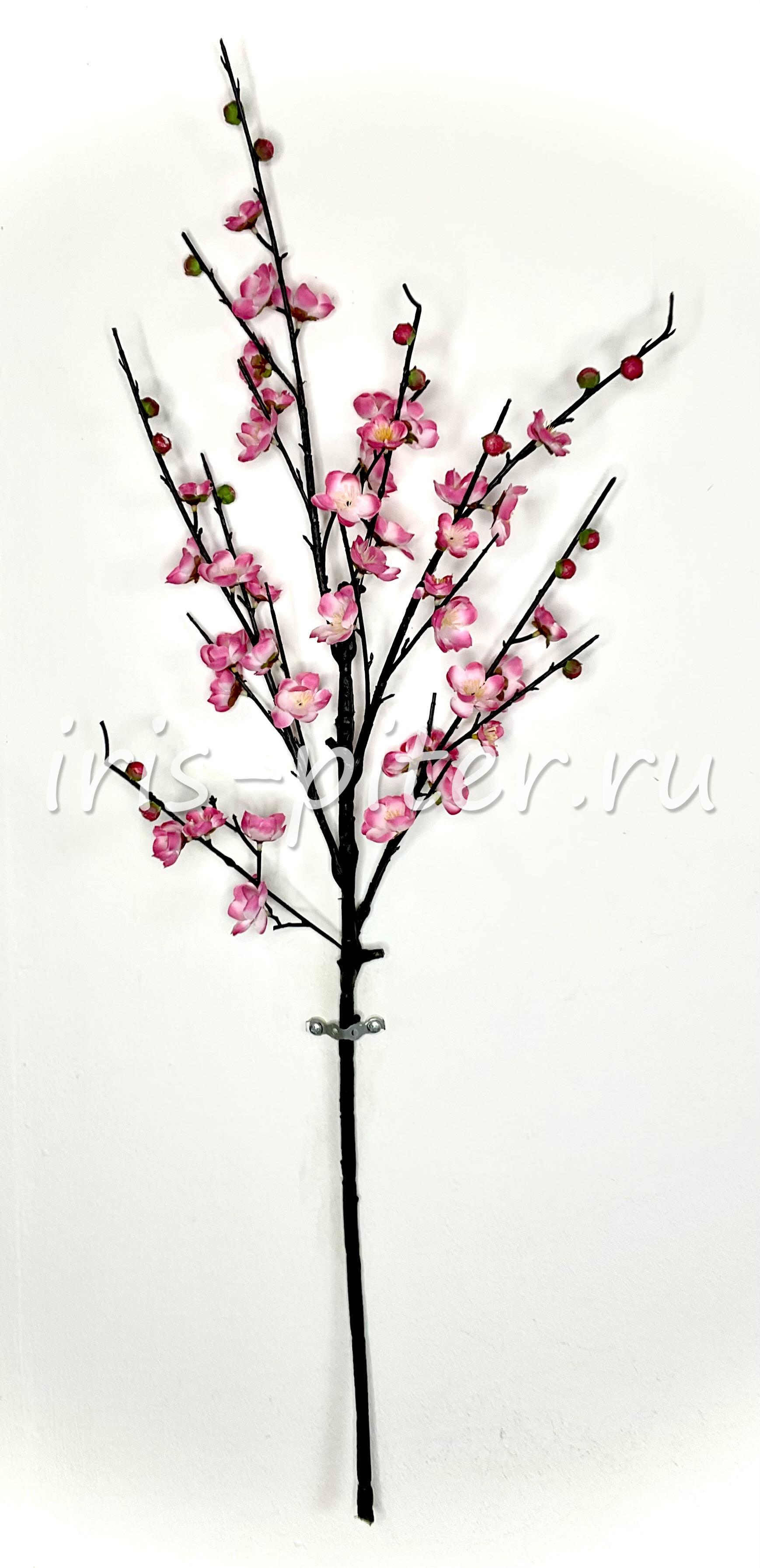 Ветка сакура