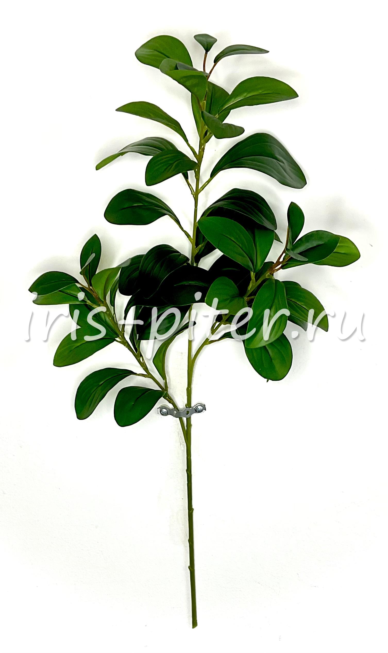 Ветка лимон 3вет  без плодов