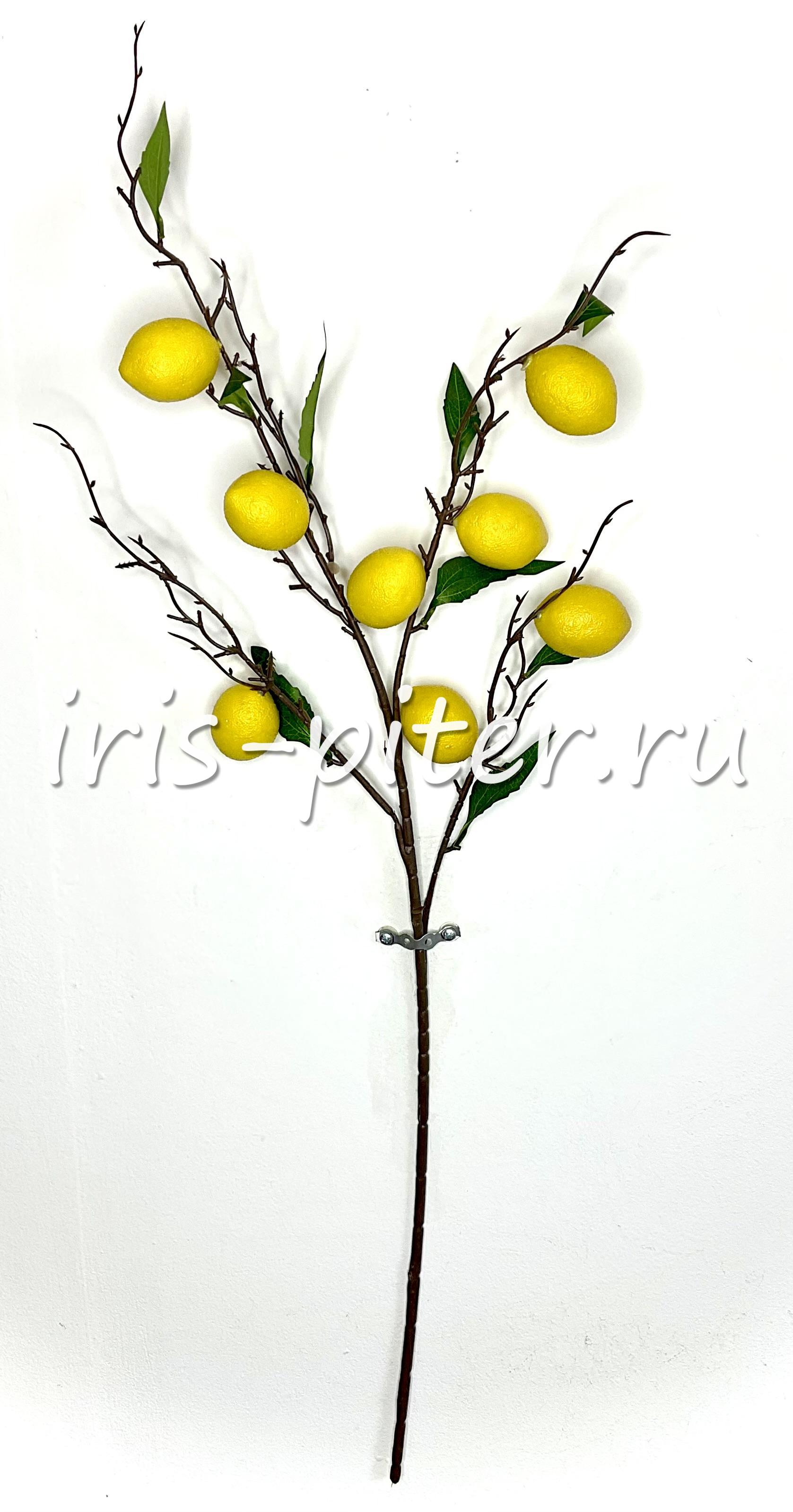 Ветка лимон 8 плодов