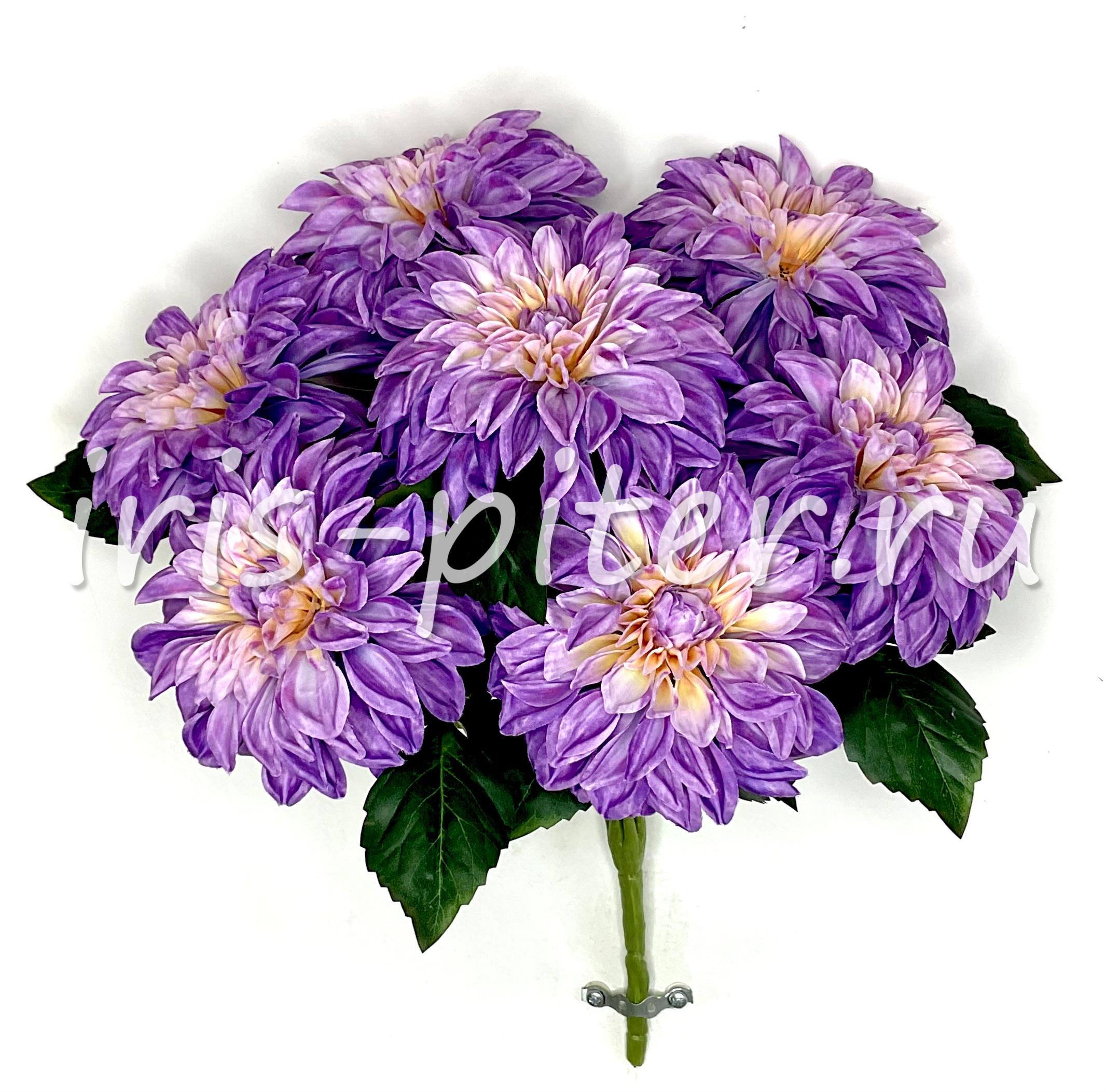 Букет георгин 7г 