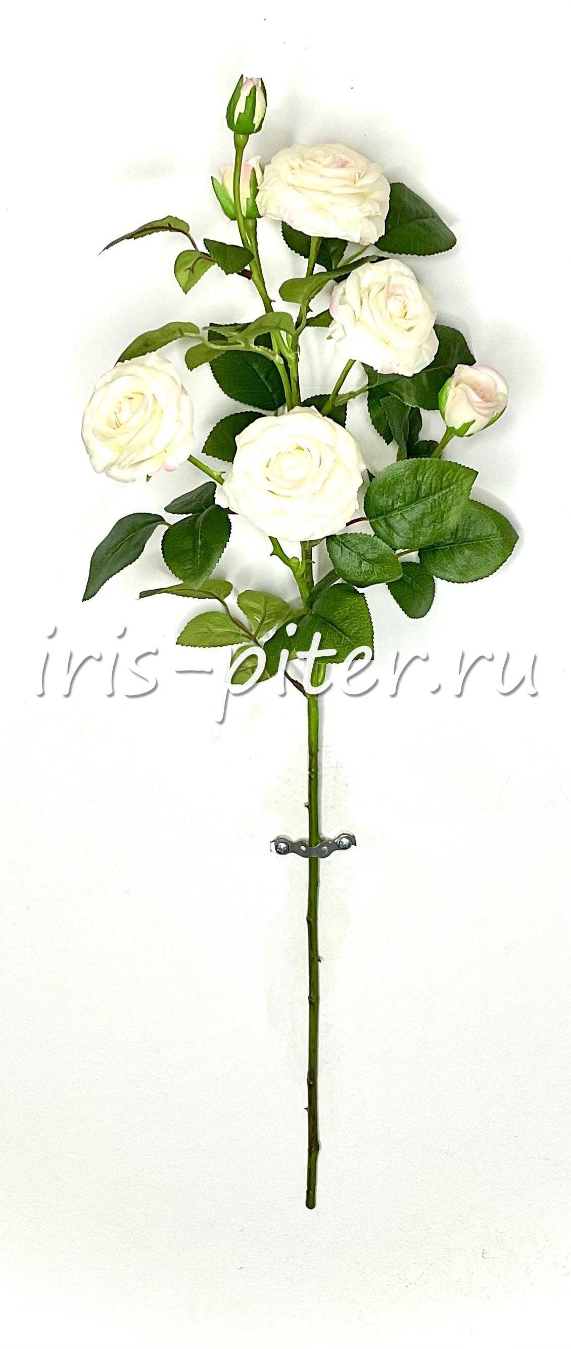 Ветка Роза 4г 3бут латекс